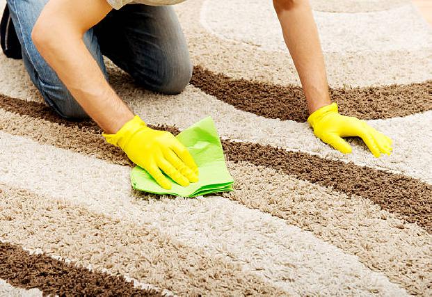 Residential & Commercial Carpet Care in Marcus Hook